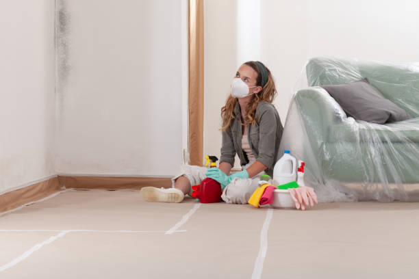 Reliable Mold Inspection And Testing contractor in Hamilton, IL by Mold Remediation HQ
